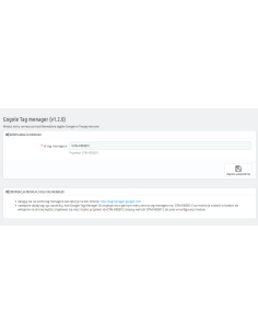 Google AdWords Remarketing / Tag-Manager 2