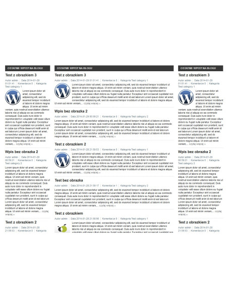 Ein Block neuer Einträge im Wordpress-Blog