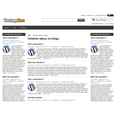 Blocco di nuove voci sul blog di Wordpress