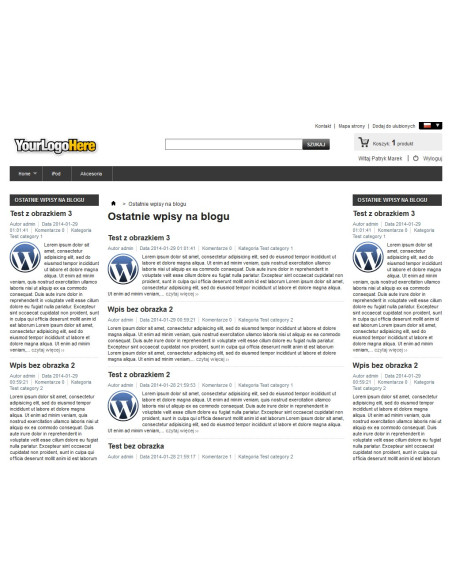Ein Block neuer Einträge im Wordpress-Blog