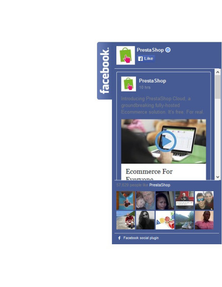 Modul Facebook Block Fans / Like-Box