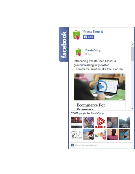 Modul Facebook Block Fans / Like-Box
